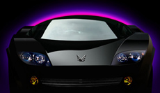 Gisser Automotive Private Placement Memorandum